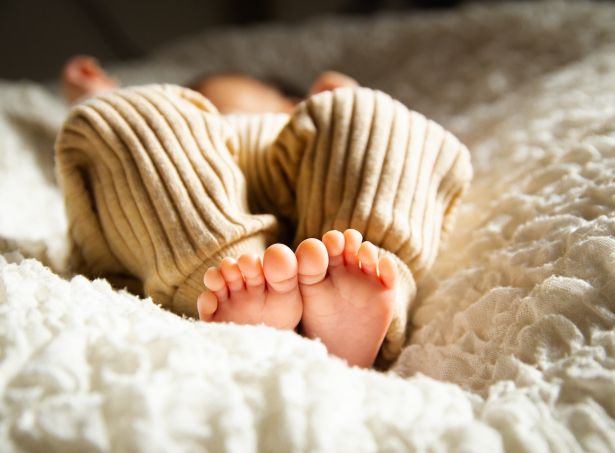 Adorable Baby Comfort Items from Wayfair