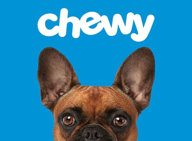 Essential Products At Chewy That Every Pet Owner Should Have